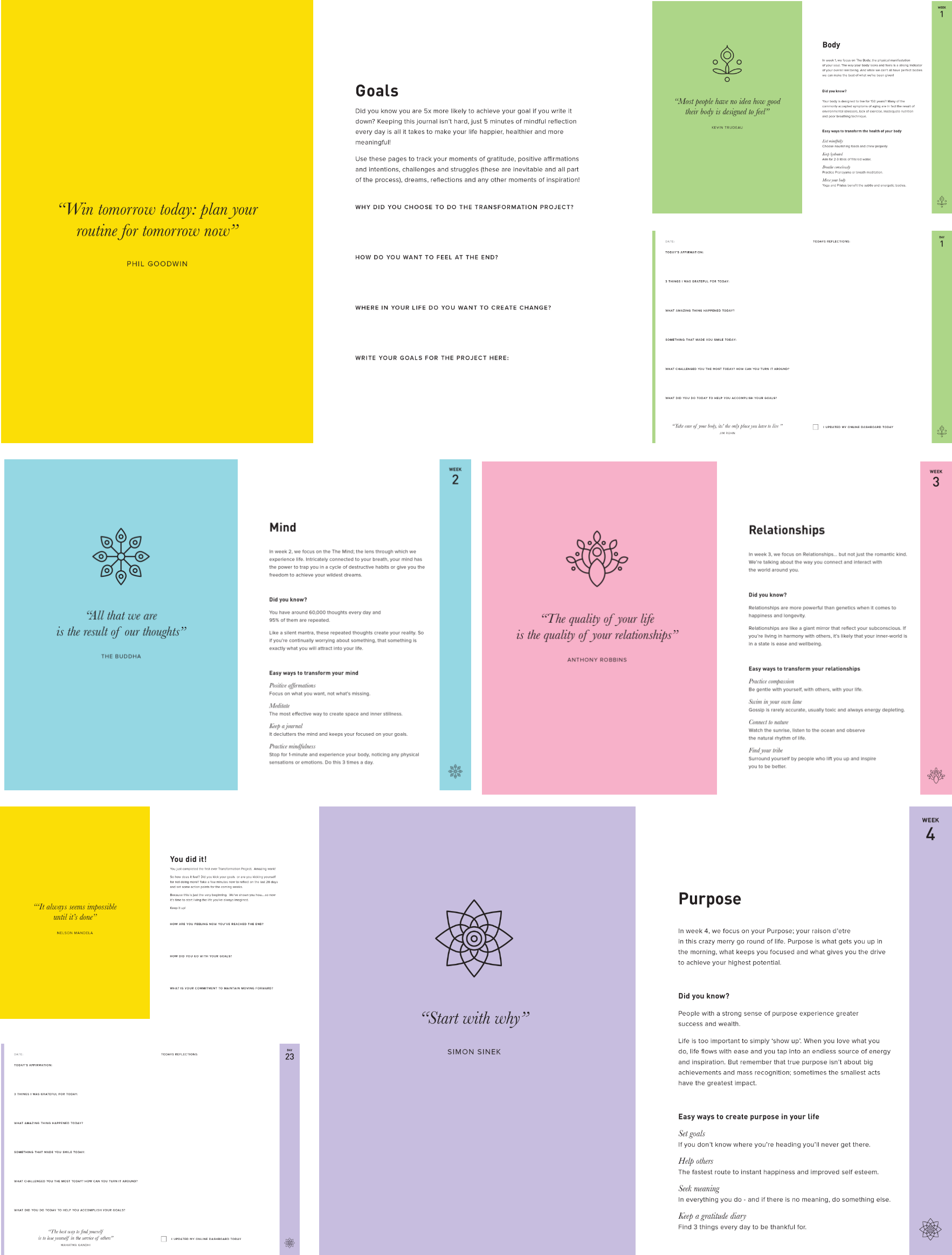 BodyMindlife - The transformation project