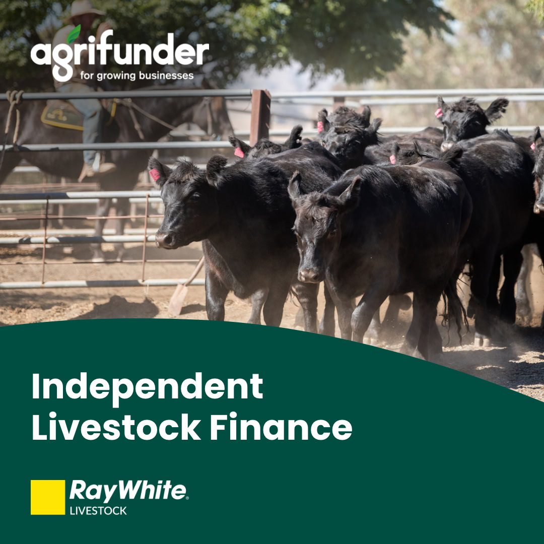 Agrifunder - Digital advertising
