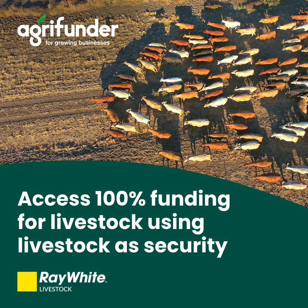 Agrifunder - Digital advertising