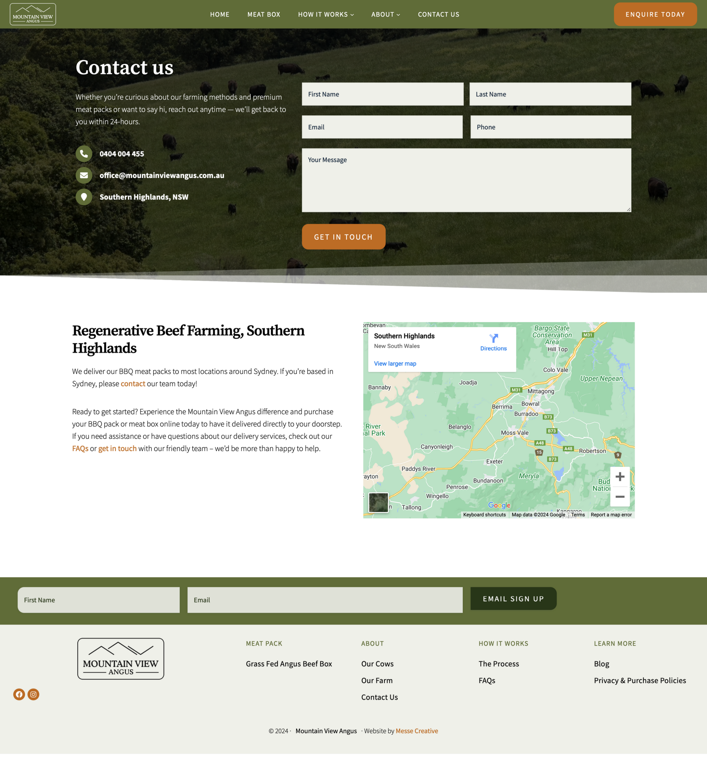Mountain View Angus - The website