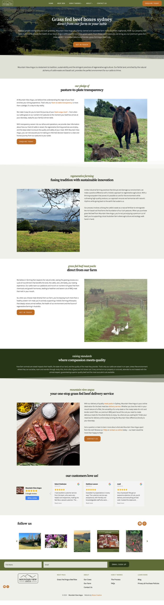 Mountain View Angus - The website