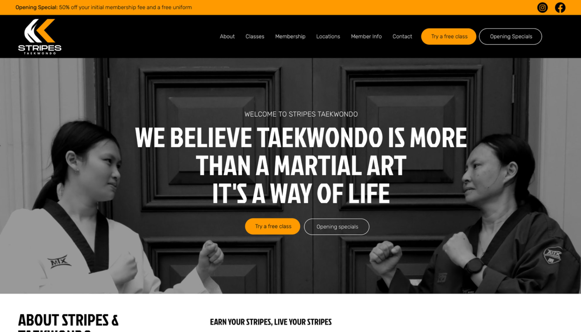 Stripes Taekwondo - tile