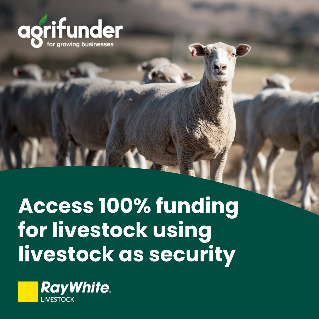 Agrifunder - Digital advertising